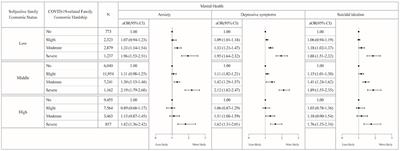 Family economic hardship and adolescent mental health during the COVID-19 pandemic